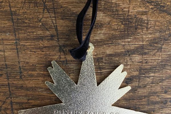 Moravian Star Enamel Ornament - Image 4